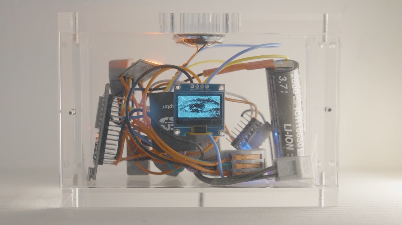 Кино-глаз, или Кино для птиц